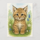 Recherche de chat sauvage cartes postales Animal