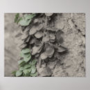 Suche nach reben poster Mother