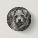 Recherche de de chiot badges Portrait