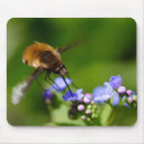 Recherche de stationnaire tapis souris Nature