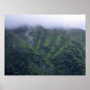 Suche nach tropischer regenwald poster Hawaii
