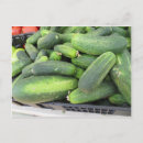 Recherche de concombre cartes postales Jardin