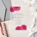 Recherche de gerbera daisy invitations Marguerite rose
