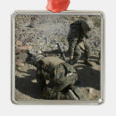 Suche nach ohr ornamente Tag