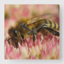 Recherche de honey bee horloges Apiculteur