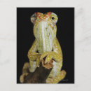 Recherche de caméléons cartes postales Animal