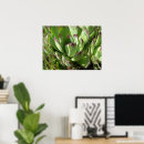 Suche nach küken poster Fotografie
