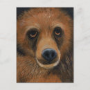 Suche nach braunbär postkarten Natur