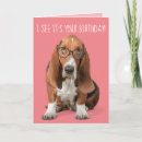 Suche nach basset hound karten Foto