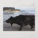 Suche nach seitlich postkarten Im freien