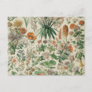 Suche nach flechten poster Botanisch