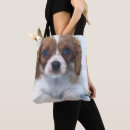 Suche nach spaniels taschen Schosshund