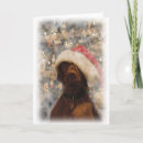 Suche nach vizsla hunde karten Weihnachten