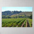 Suche nach napa wein poster Weinberge