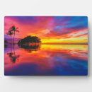 Suche nach hawaii fotoplatten Palmen