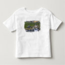 Recherche de torrent tshirts Paysage