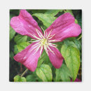 Suche nach rebe magnete Blumen