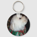 Recherche de bichon porteclés Animaux familiers