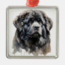 Recherche de tibétain ornements Dog