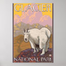 Suche nach mountain goat poster Gebirge