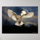 Recherche de hibou halloween posters Oiseaux