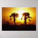 Recherche de matin posters Coucher de soleil