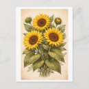 Suche nach vintage sonnenblumen postkarten Botanisch