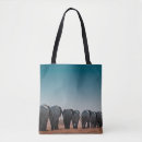 Suche nach etosha Wild