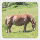 Recherche de breton autocollants Animal
