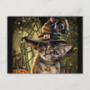 Recherche de cat lantern cartes postales Sorcière