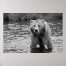 Recherche de forets art Cabine