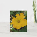 Recherche de courge vœux cartes Jaune