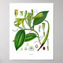 Suche nach spices poster Herb
