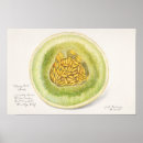 Suche nach melonen poster Vintag