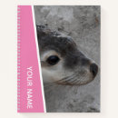 Recherche de otaries Pour elle
