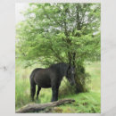 Recherche de le cheval prospectus Toute personne