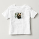 Recherche de sichuan Panda