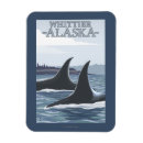 Suche nach alaska magnete Schwertwal