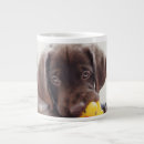 Recherche de chocolat labrador tasses Chiot