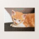 Suche nach verrückte katzen puzzle Kitty