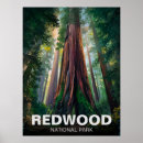 Recherche de séquoia géant posters Séquoias