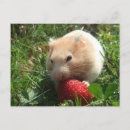 Recherche de strawberry cartes postales Fraise