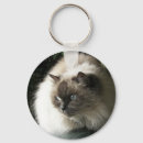 Recherche de siamois chat porteclés Animal