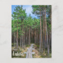 Suche nach evergreen poster Tree