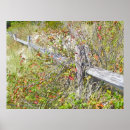 Suche nach geteilten poster Zaun