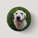 Recherche de goldener buttons Mignonette