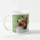 Recherche de chiens berger shetland tasses Sheltie