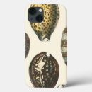Recherche de copies coques Coquille