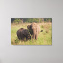 Suche nach indischer elefant leinwandbilder Corbett
