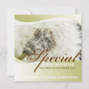 Recherche de dandelion invitations Doux